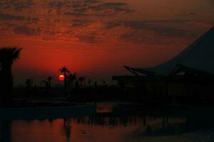 exotisch rot Sonnenuntergang mit Gebäude Gliederung und Palme Bäume, foto