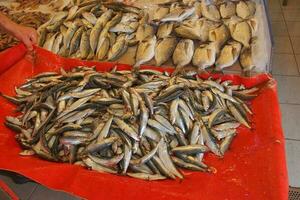 Stall mit verschiedene Typen von Fisch im das Geschäft foto