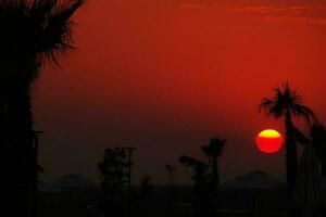 exotisch rot Sonnenuntergang mit Gebäude Gliederung und Palme Bäume, foto