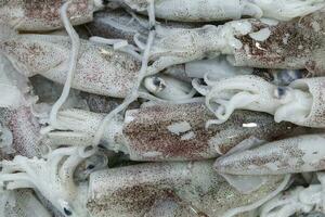 frisch Tintenfisch Calamari Tintenfisch beim wöchentlich Straße Markt foto