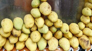 Gelb Süss Mango Stapel beim wöchentlich Straße Markt foto