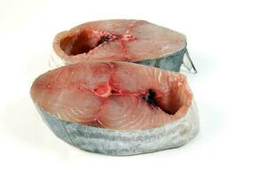 Spanisch Makrele Fisch ikan Tenggiri Stücke Filet auf Weiß Hintergrund foto