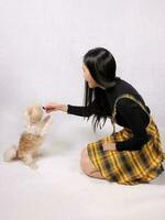 jung attraktiv asiatisch Frau spielen Fütterung Tricks süß wenig pelzig Hund foto
