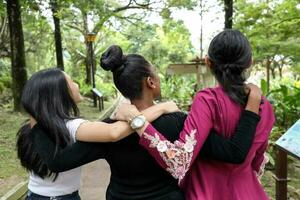 drei Frau malaiisch Chinesisch indisch asiatisch draussen Grün Park gehen sich unterhalten mischen glücklich Freude von hinter aussehen oben foto