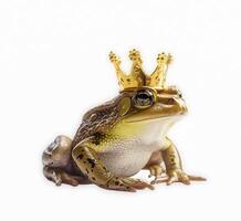 generativ ai Inhalt, Frosch Prinzessin im ein Krone isoliert auf ein Weiß Hintergrund. foto