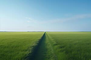 das Landschaft von Gras Felder und Blau Himmel Straße führen aus in das Distanz. generativ ai. foto