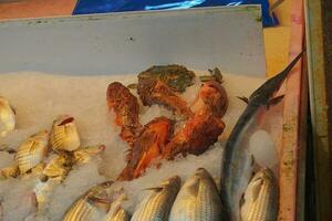 Stall mit verschiedene Typen von Fisch im das Geschäft foto