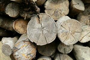 Holz lange Bauholz Stapel zum Holzkohle Fabrik Hintergrund foto