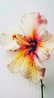 schließen oben von Wasser Tröpfchen Sanft blühen Hibiskus Blume. generativ ai. foto