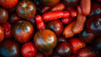 roter Tomatenhintergrund