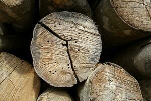 Holz lange Bauholz Stapel zum Holzkohle Fabrik Hintergrund foto