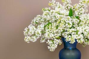 Weiß lila Blumen im Vase foto