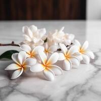 Weiß Frangipani Blumen auf Weiß Tabelle ai generiert foto