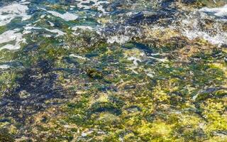 steine felsen korallen türkis grün blau wasser am strand mexiko. foto