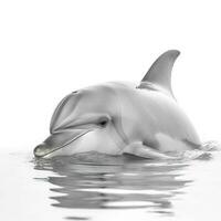 Delfin isoliert auf Weiß Hintergrund, generieren ai foto