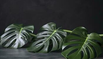 tropisch Palme Monstera Blätter isoliert auf grau Tabelle Hintergrund. , generieren ai foto
