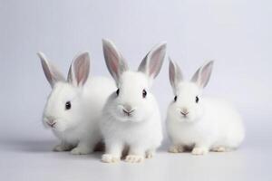Vorderseite Aussicht von süß Baby Kaninchen auf Weiß Hintergrund, wenig süß Kaninchen Sitzung mit schön Aktion auf Weiss, generativ ai foto