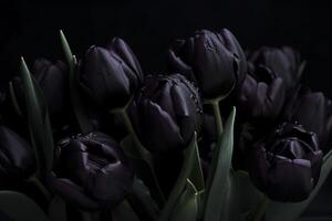 schwarz Tulpen auf schwarz Hintergrund. minimalistisch zeitgenössisch Bündel von elegant Frühling Blumen. ai generiert Bild. foto