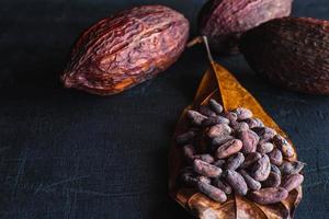 getrocknete Kakaobohnen und getrockneter Kakao foto