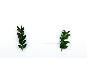 Draufsicht auf einem Blatt Papier und einem grünen Zweig mit Blättern foto