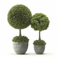 Topiary Bäume im das Topf isoliert auf Weiß Hintergrund. 3d Wiedergabe, 3d Illustration, generieren ai foto