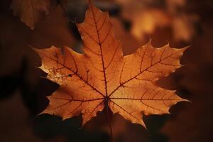 Herbst Ahorn Blätter lebendig Farben, ai generativ Panorama Illustration auf schwarz Hintergrund foto
