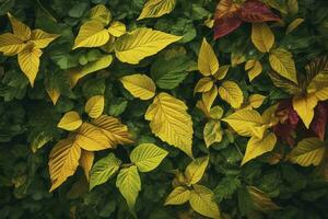 Laub Hintergrund mit ein Vielfalt von beschwingt Pflanze Blätter zeigen ein vielfältig Ökosystem und das Biodiversität von Natur mit einzigartig Gold Pflanze Blätter. Erde Tag Hintergrund. , generieren ai foto