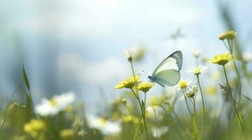 abstrakt Natur Frühling Hintergrund, Frühling Blume und Schmetterling, generieren ai foto