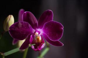 Orchidee Blume. Illustration ai generativ foto