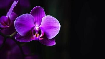 Orchidee Blume. Illustration ai generativ foto