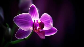 Orchidee Blume. Illustration ai generativ foto