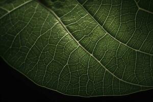 Erde Tag und Welt Umgebung Tag, Frühling, schön natürlich frisch Grün Blatt, Entspannung Natur Konzept, generieren ai foto