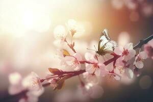 Frühling Banner, Geäst von blühen Kirsche gegen das Hintergrund von Blau Himmel, und Schmetterlinge auf Natur draußen. Rosa Sakura Blumen, verträumt romantisch Bild Frühling, Landschaft Panorama, generieren ai foto