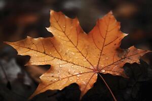 Herbst Ahorn Blätter lebendig Farben, ai generativ Panorama Illustration auf schwarz Hintergrund foto
