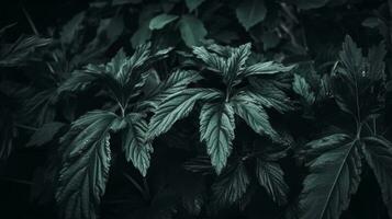 abstrakt dunkel Grün Oberfläche von Blätter natürlich Blumen- Hintergrund, generieren ai foto