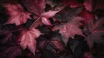 künstlerisch bunt Eiche Herbst Jahreszeit Blätter Hintergrund, generieren ai foto