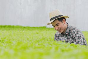 junger Bauer, der glücklich die Qualität des Gemüses in einer hydroponischen Gemüsefarm prüft foto