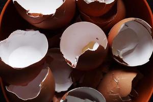 Fotografie von leeren Eierschalen in einer Schüssel für Lebensmittelillustration foto