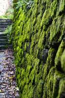 Steinmauer und grünes Moos