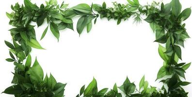 Grün Pflanze und Blätter Rahmen isoliert auf Weiß Hintergrund, zum Hochzeit Einladungen und Gruß Karten, generieren ai foto