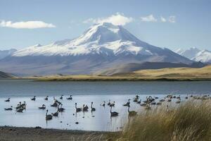 ein Gruppe von Pelikane Angeln im ein Lagune, generieren ai foto