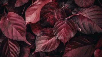 künstlerisch bunt Eiche Herbst Jahreszeit Blätter Hintergrund, generieren ai foto
