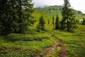 Landschaft in der Nähe des Levico-Sees, Trento Italien foto