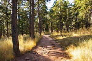 Weg auf dem Chautauqua Park in Boulder, Colorado foto