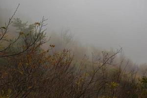 November Nebel in der Provinz Vicenza, Venetien, Italien foto