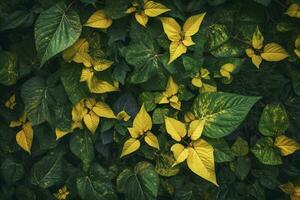 Laub Hintergrund mit ein Vielfalt von beschwingt Pflanze Blätter zeigen ein vielfältig Ökosystem und das Biodiversität von Natur mit einzigartig Gold Pflanze Blätter. Erde Tag Hintergrund. , generieren ai foto