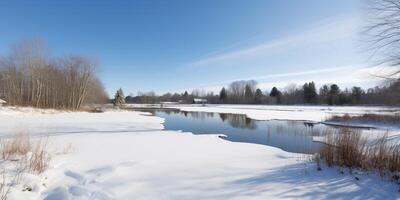 Winter Landschaft mit schneebedeckt Pfad ai generiert foto