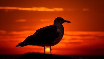 einer Silhouette von Falke symbolisiert Freiheit Geist generiert durch ai foto