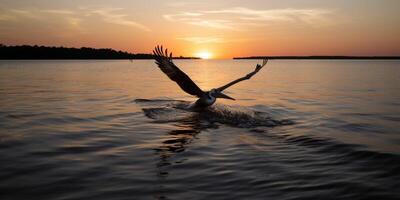 Pelikan steht Über das Wasser ai generiert foto