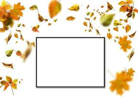 Herbst Hintergrund. Herbst Blätter und Rahmen zum Text foto